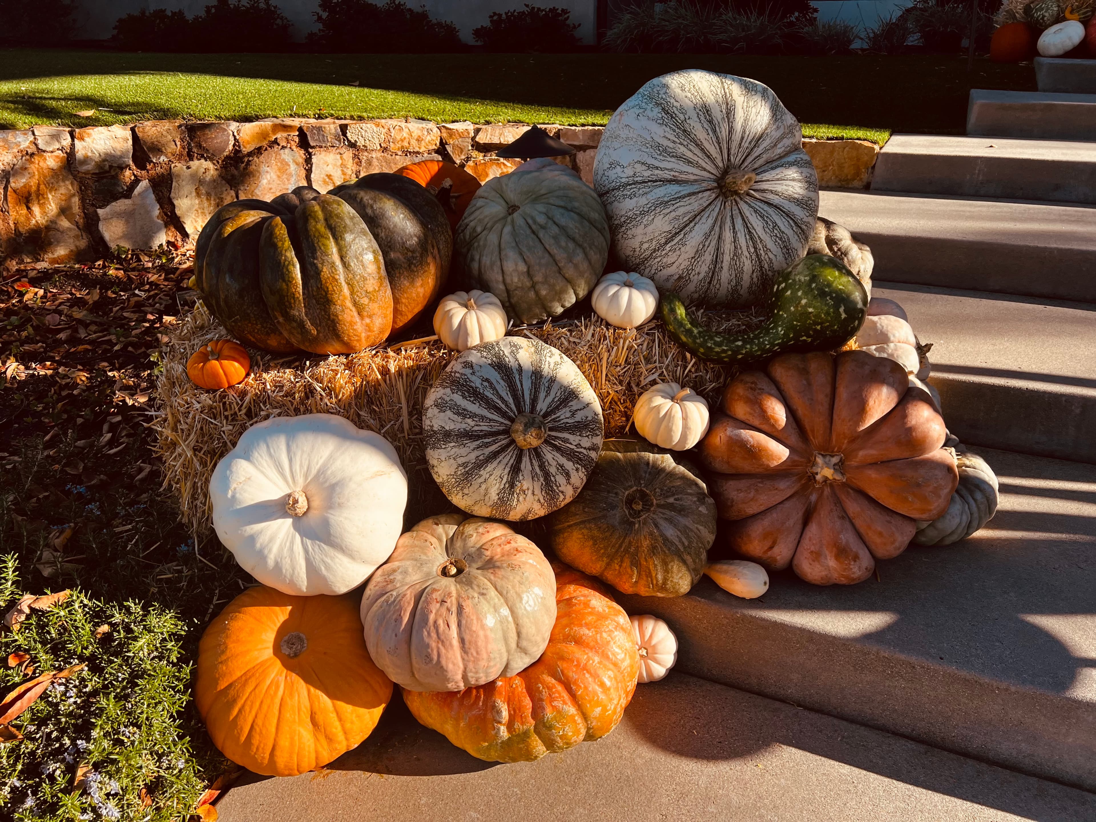 Heirloom pumpkins and magnolia garlands styled on a San Diego front porch